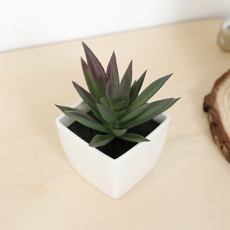 Bonsai Garden Ideas - Mini künstliche Sukkulenten-Feentasse, kleine Topfpflanze, weiße