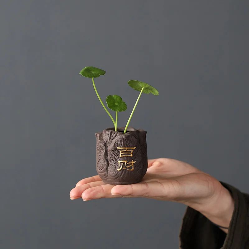 Kreative Lila Ton Tee Haustier – Bonsai Garden Pot Bewertung und Preis