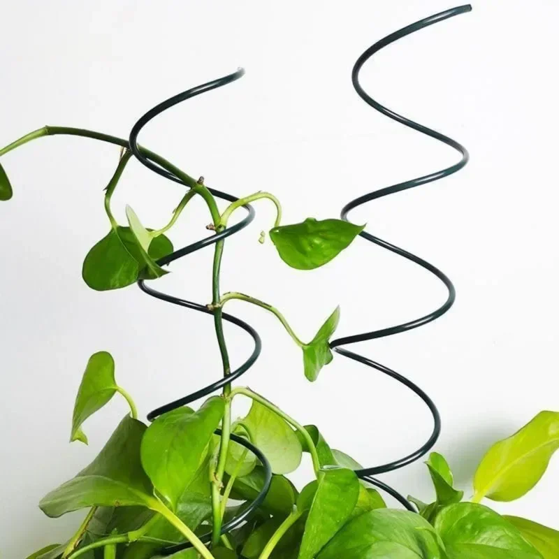Kletterpflanzen-Stützstange, R – Bonsai Garden Usa Bewertung und Preis