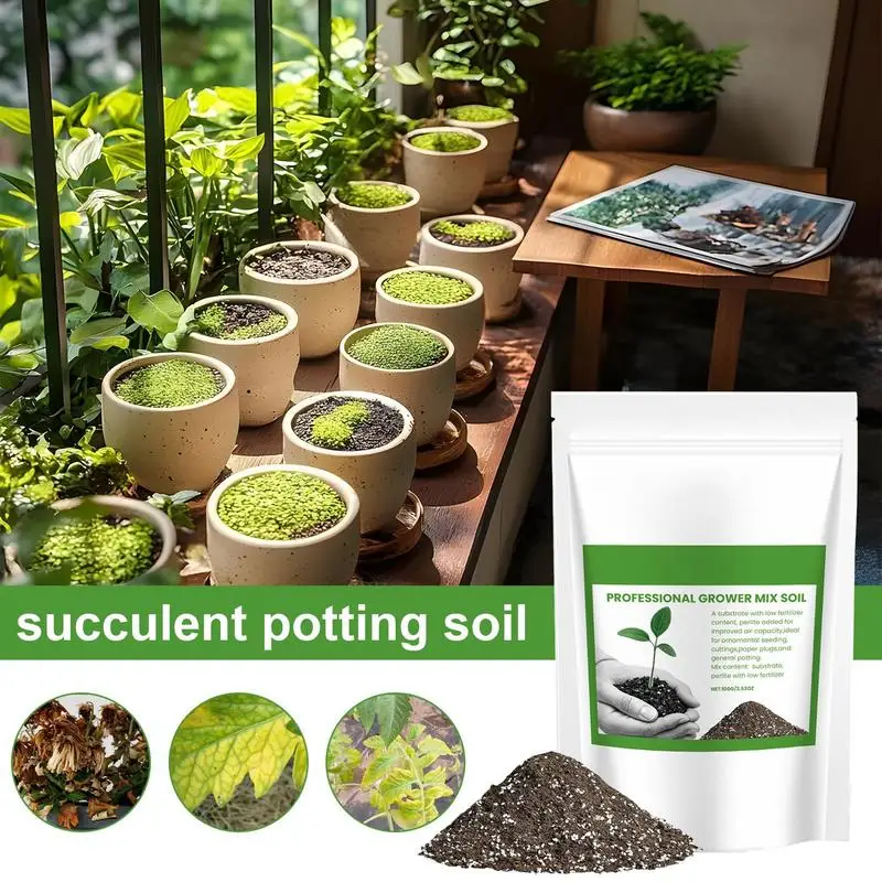 Sukkulenten-Erde, Belüfteter B – Bonsai Garden Pot Bewertung und Preis
