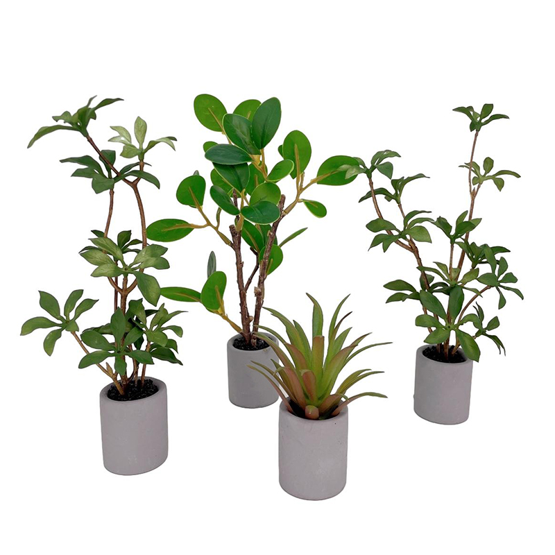Antike Puppenhaus Miniatur Top – Bonsai Garden Pot Bewertung und Preis