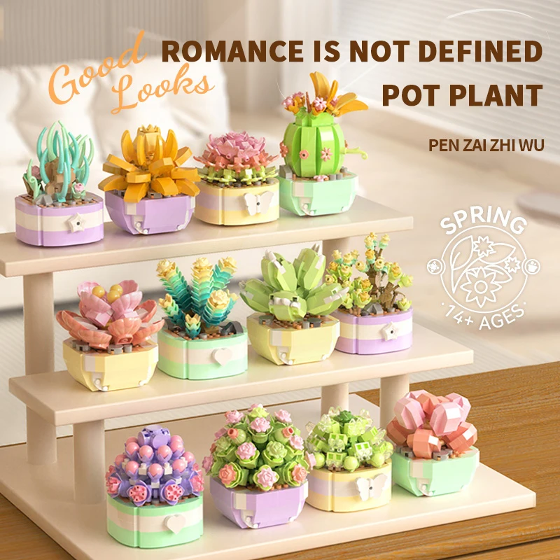 Blume Sukkulenten Bausteine Ew – Bonsai Garden Pot Bewertung und Preis