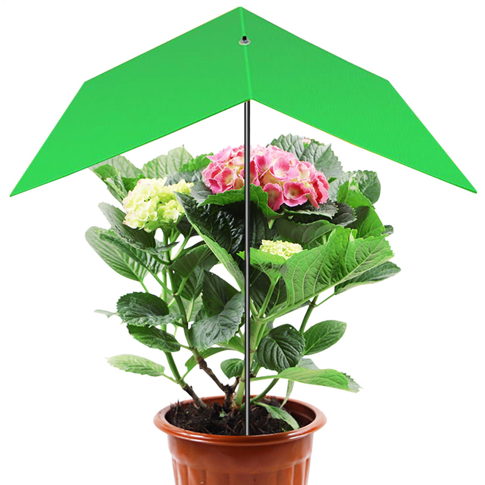Schattenschirm für Topfpflanze – Bonsai Garden Backyard Bewertung und Preis
