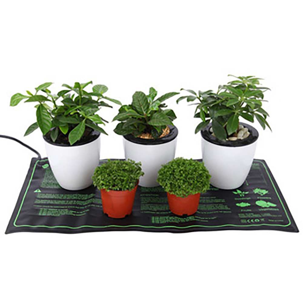 110/120/220/230V Sämling Wärme – Bonsai Garden Pot Bewertung und Preis