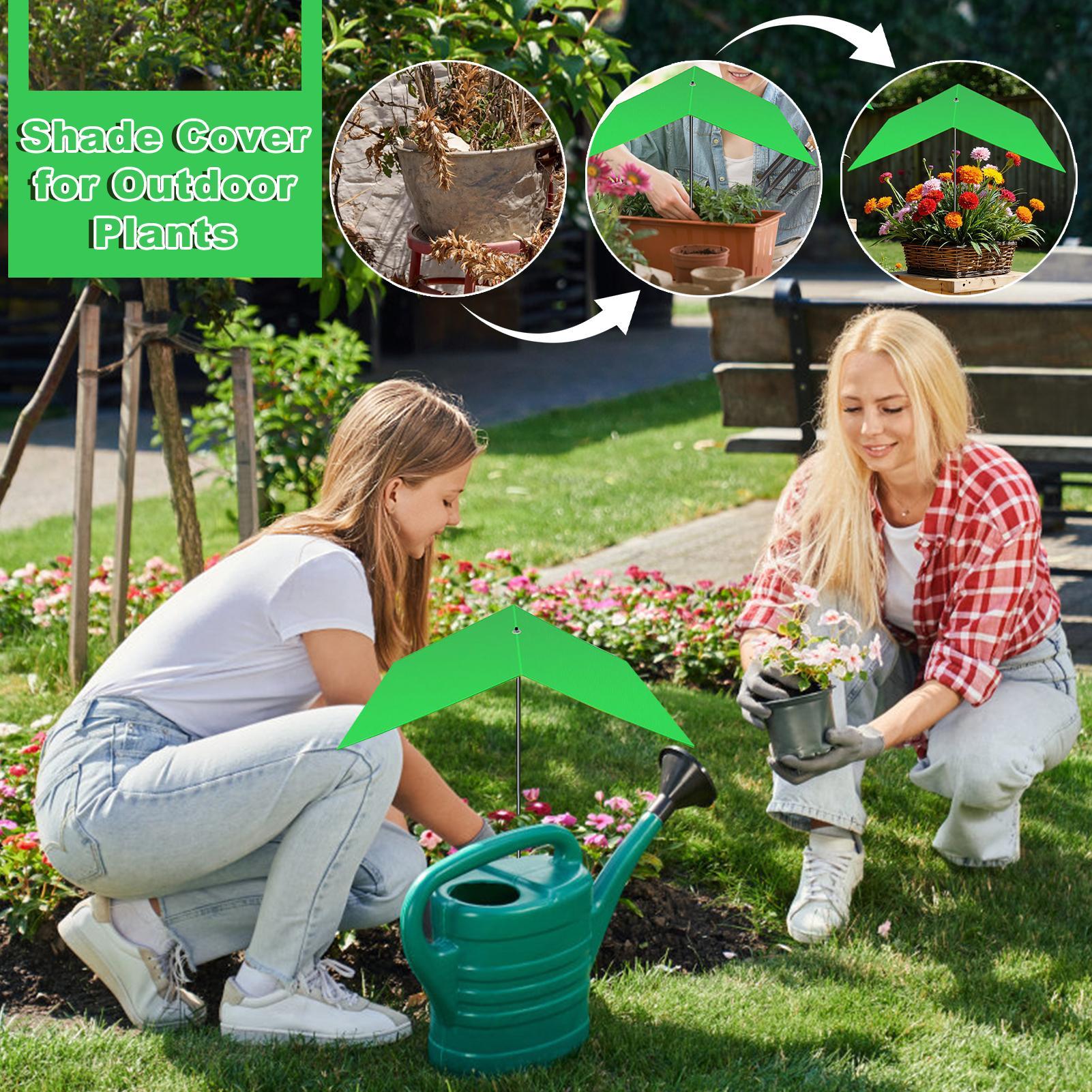 Pflanzenschirm, Anti-UV-Hitzes – Bonsai Garden Backyard Bewertung und Preis
