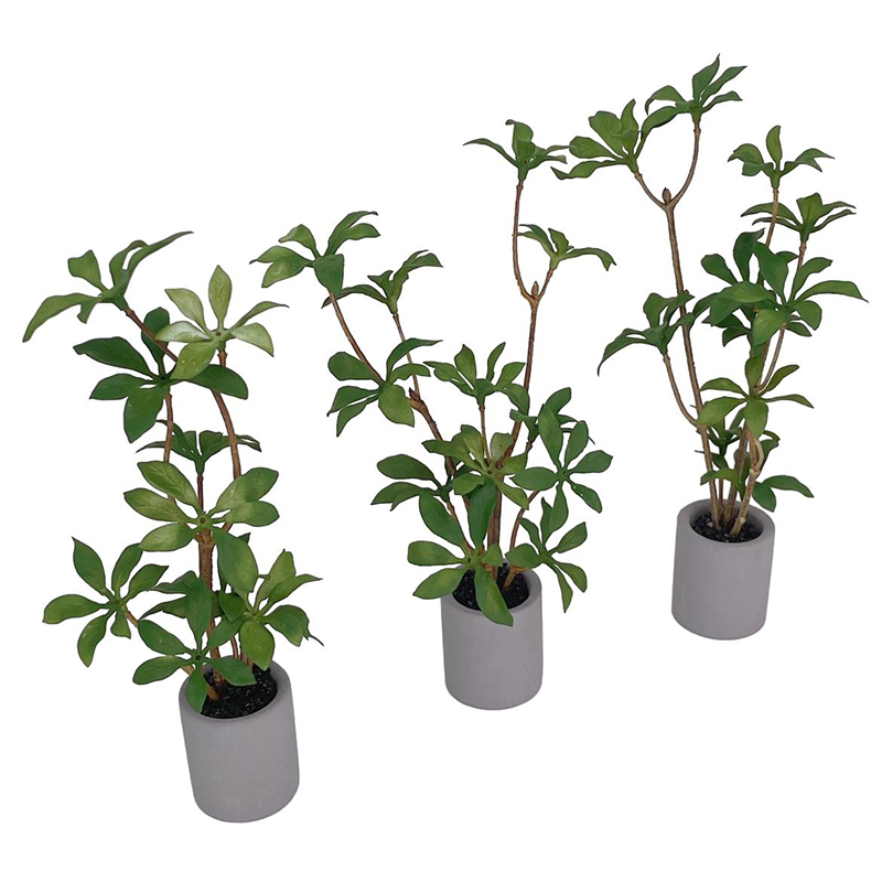 1:6 Puppenhaus Miniatur Topfpf – Bonsai Garden Pot Bewertung und Preis