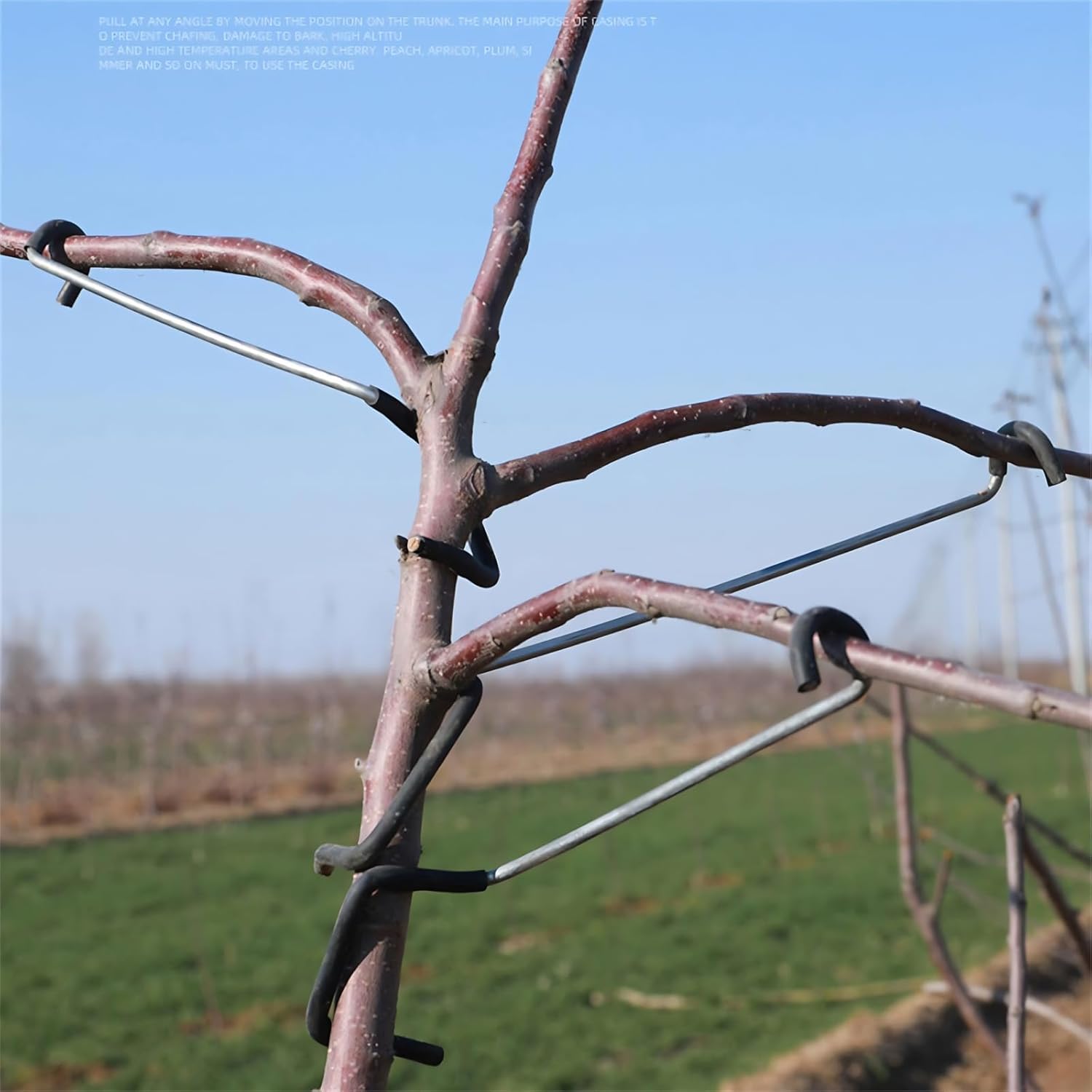 Verstellbarer Obstbaum-Astform – Bonsai Garden Usa Bewertung und Preis