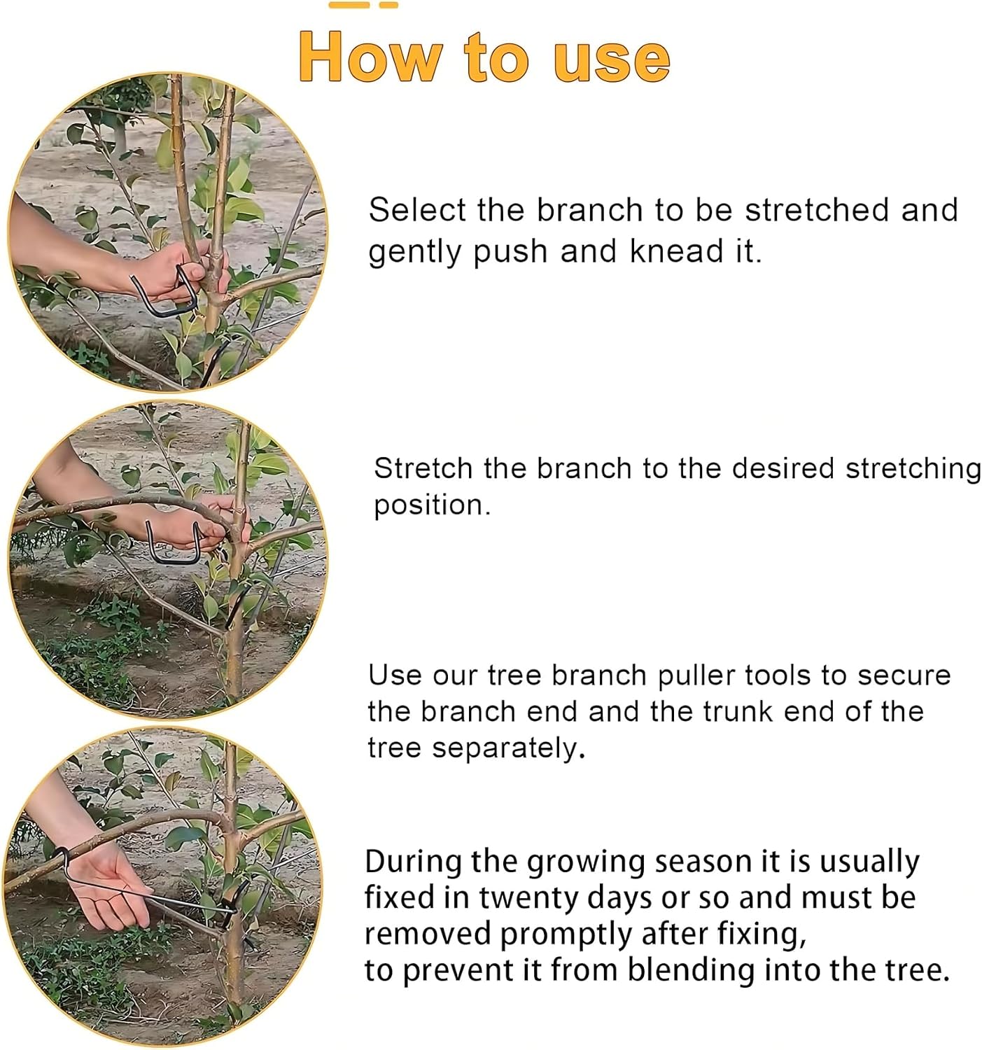 Verstellbarer Obstbaum-Astform – Bonsai Garden Usa Bewertung und Preis