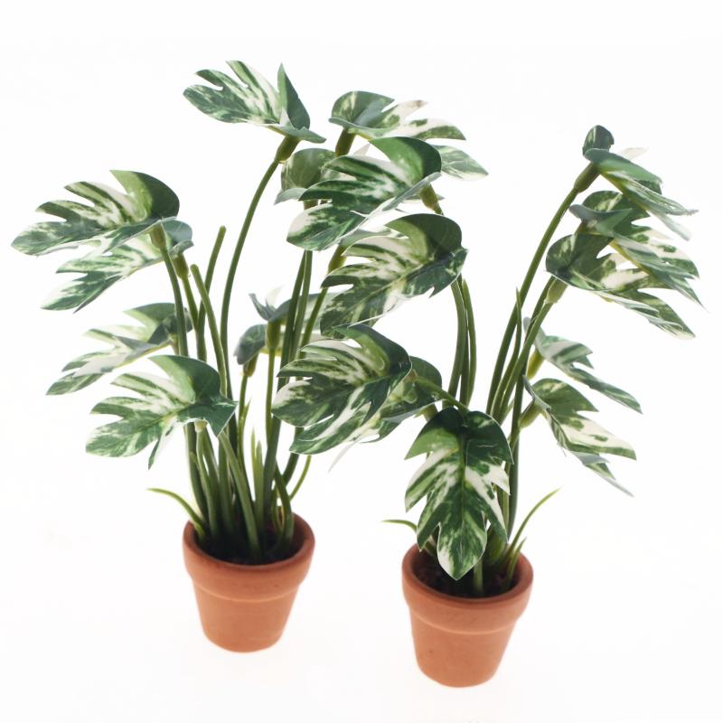 Neu. 1 Stück 1/12 Puppenhaus-S – Bonsai Garden Pot Bewertung und Preis