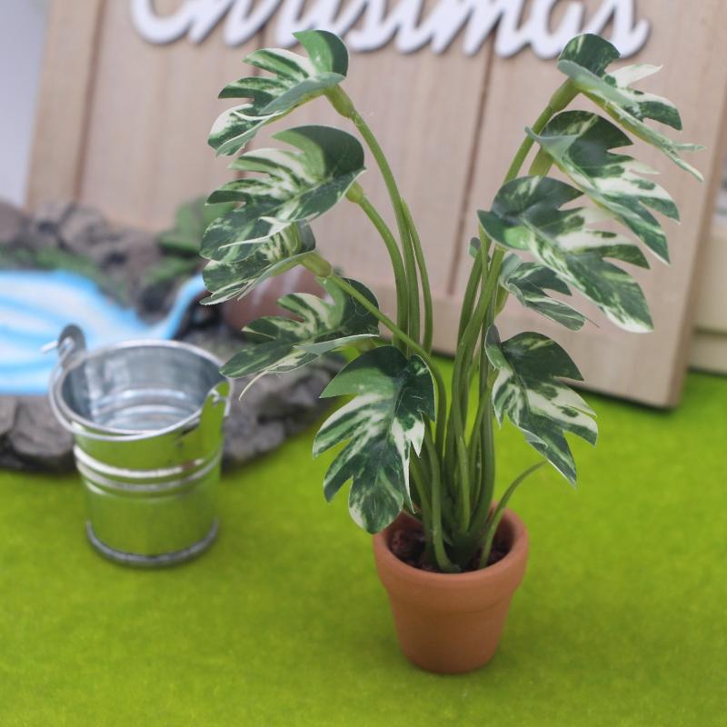 Neu. 1 Stück 1/12 Puppenhaus-S – Bonsai Garden Pot Bewertung und Preis