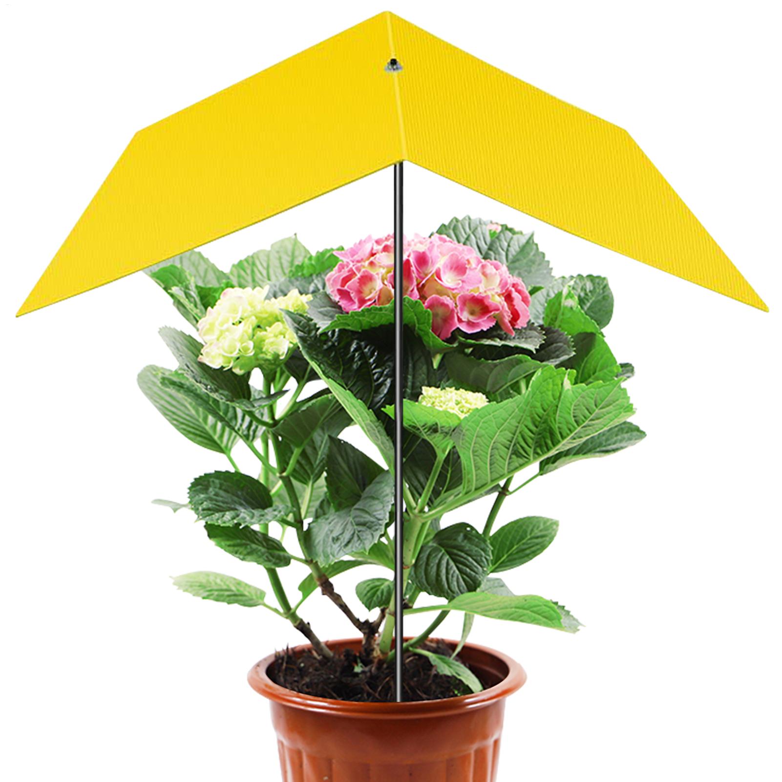 Schirme für Pflanzen im Freien – Bonsai Garden Backyard Bewertung und Preis