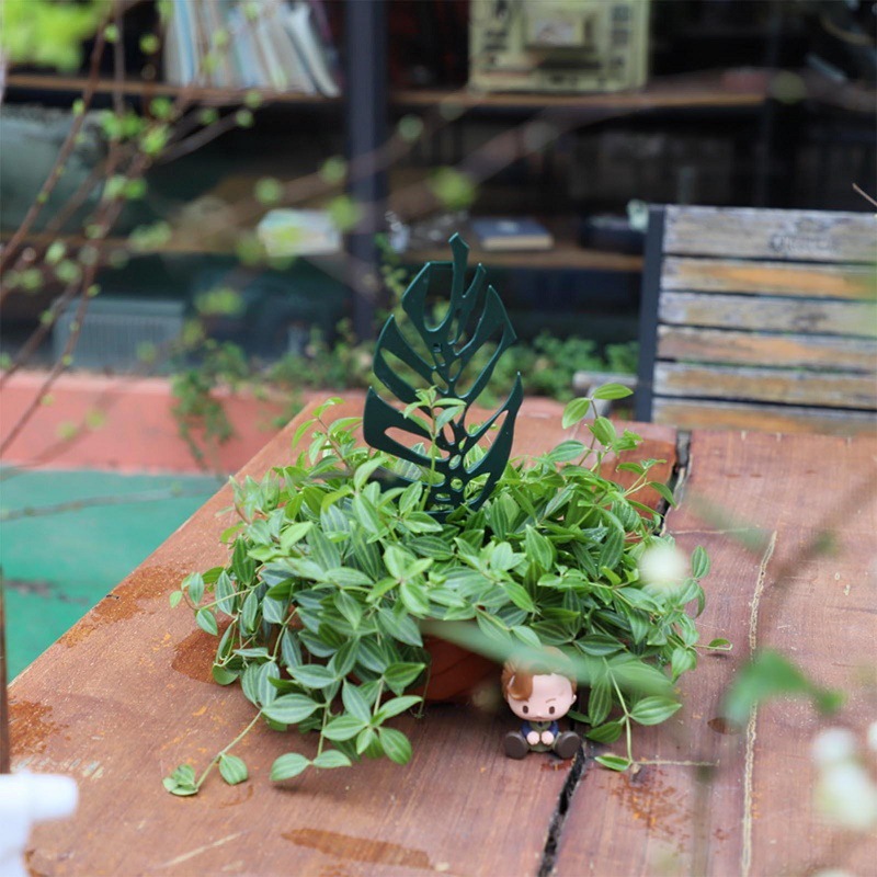 Pflanze Klettern Unterstützung – Bonsai Garden Pot Bewertung und Preis