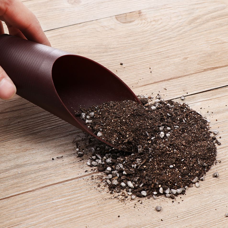 1PC Kunststoff Boden Schaufel  – Bonsai Garden Pot Bewertung und Preis